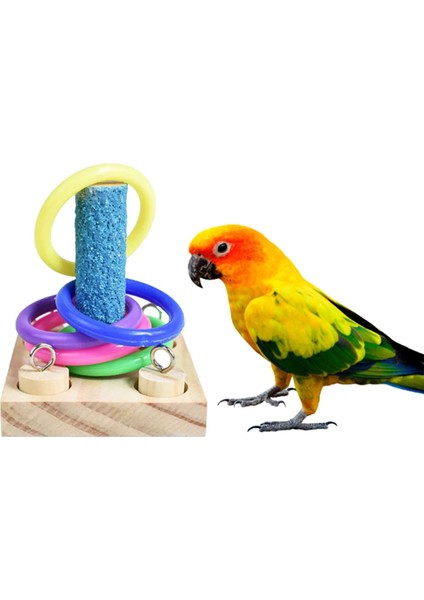 Blok Oyuncak Yüzük Stili Ahşap Kuş Eğitici Oyuncaklar Küçük Orta Papağan Istihbarat Eğitimi Oyuncaklar Için Lovebird Parakeet Cockatiel Budgie (Yüzük Oyuncaklar) (Yurt Dışından)