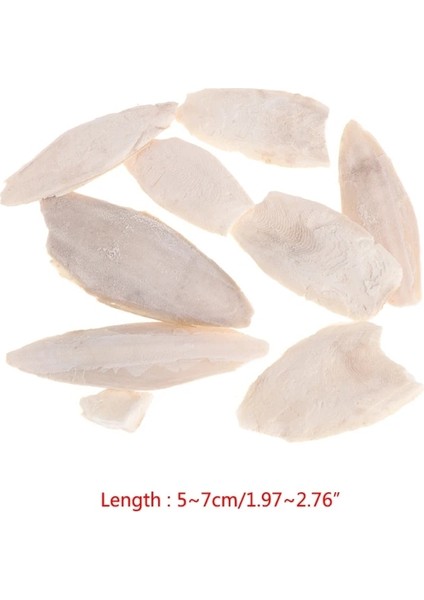2S90790 Stili 1 Torba Mürekkepbalığı Mürekkepbalığı Sepya Kemik Mürekkep Balığı Kuş Maması Kalsiyum Pickstone Pet Kuş Aksesuarları (Yurt Dışından) fırsatları