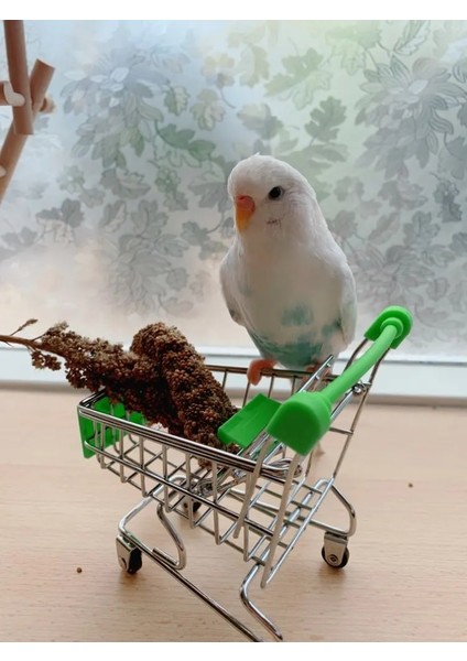 Gök Mavisi Tarzı * 11.5*7.5 cm Komik Mini Kuş Papağan Fare Kedi Oyuncak Süpermarket Alışveriş Sepeti Istihbarat Büyüme Papağan Oyuncakları (Yurt Dışından) fırsatları