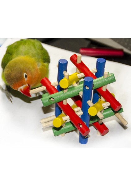 NO.7602 Stili Papağan Oyuncak Kuş Topu Kafes Aksesuarları Malzemeleri Papağan Levrek Muhabbet Kuşu Parakeet Kafesi Dekorasyon Agaporni Vogel Speelgoed (Yurt Dışından) fiyatları