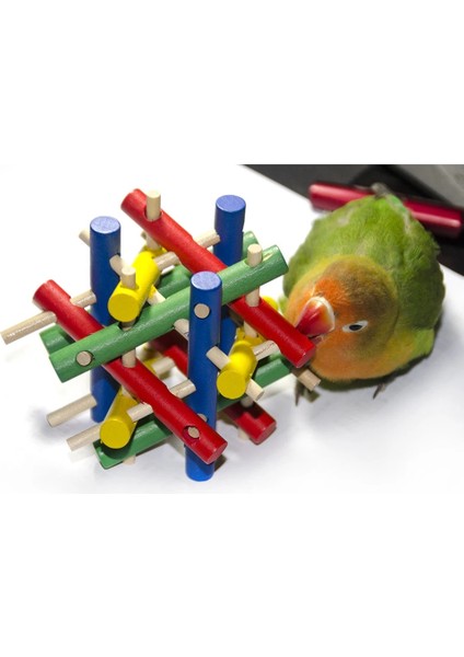 NO.7602 Stili Papağan Oyuncak Kuş Topu Kafes Aksesuarları Malzemeleri Papağan Levrek Muhabbet Kuşu Parakeet Kafesi Dekorasyon Agaporni Vogel Speelgoed (Yurt Dışından) modelleri