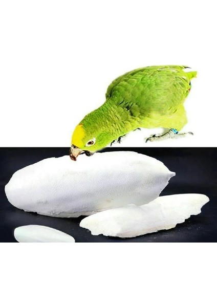 1 Çanta Stili 1 Torba Mürekkepbalığı Mürekkepbalığı Sepya Kemik Mürekkep Balığı Kuş Gıda Kalsiyum Pet Muhabbet Kuşu Papağanlar Hamster Kuş Oyuncak Için Taş (Yurt Dışından) fiyatları