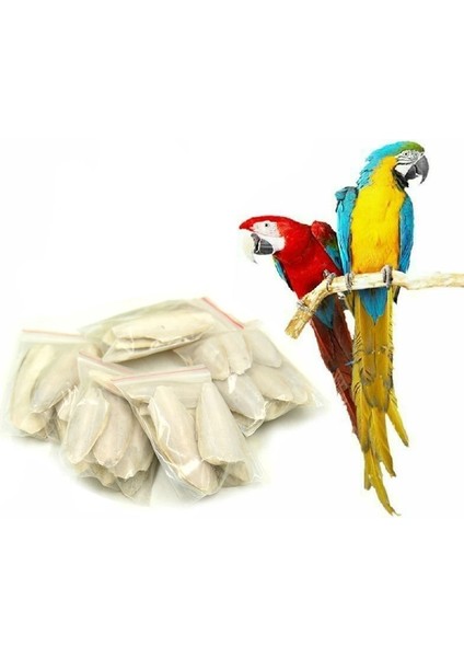 1 Çanta Stili 1 Torba Mürekkepbalığı Mürekkepbalığı Sepya Kemik Mürekkep Balığı Kuş Gıda Kalsiyum Pet Muhabbet Kuşu Papağanlar Hamster Kuş Oyuncak Için Taş (Yurt Dışından) modelleri