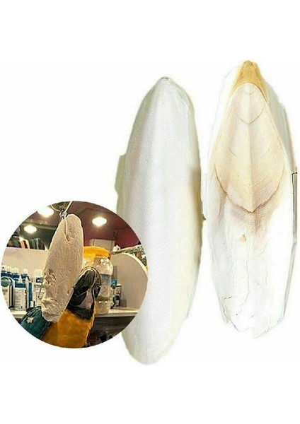 1 Çanta Stili 1 Torba Mürekkepbalığı Mürekkepbalığı Sepya Kemik Mürekkep Balığı Kuş Gıda Kalsiyum Pet Muhabbet Kuşu Papağanlar Hamster Kuş Oyuncak Için Taş (Yurt Dışından) fırsatları