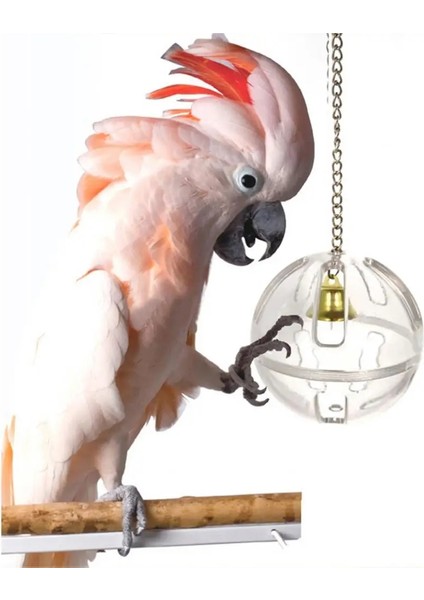 Zincir Stili ile Yaratıcı Toplayıcılık Asılı Çan Topu Besleme Chew Oyuncak Pet Papağanlar Için Kuşlar Vogel Speelgoed Kuşlar Aksesuarları Papağan Aksesuarları (Yurt Dışından) modelleri