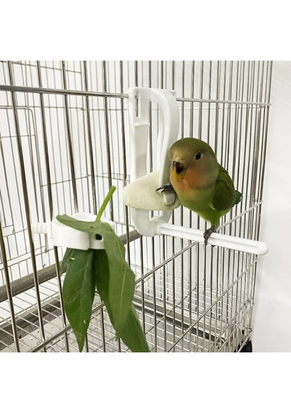 No.1 Tarzı Kuşlar Gıda Tutucu Pet Papağan Besleme Meyve Sebze Klip Mürekkepbalığı Kemik Besleyici Cihaz Kelepçe Tutucu Hamster Kafesi Aksesuarları (Yurt Dışından) fırsatları