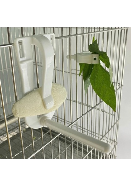 No.1 Tarzı Kuşlar Gıda Tutucu Pet Papağan Besleme Meyve Sebze Klip Mürekkepbalığı Kemik Besleyici Cihaz Kelepçe Tutucu Hamster Kafesi Aksesuarları (Yurt Dışından) indirimleri