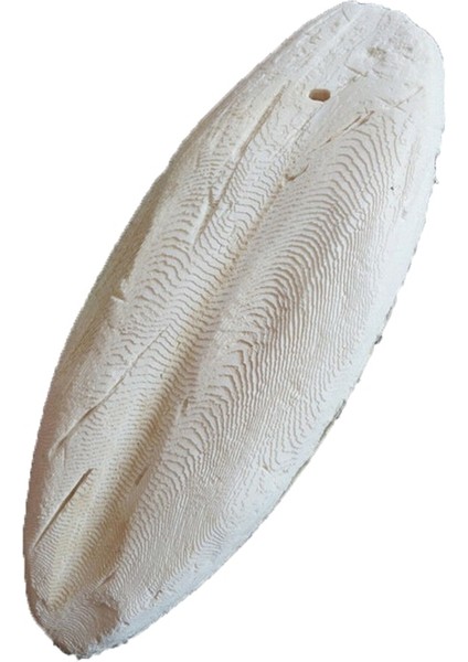 12-15CM 2 Adet Tarzı Uttle Fish Mürekkep Balığı Kemik Evcil Hayvan Muhabbet Kuşları Sürüngenler Kaplumbağa Yemi (Yurt Dışından) modelleri