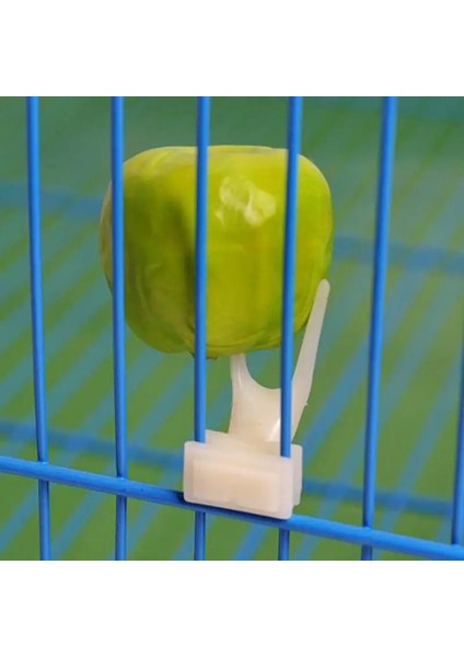 5 Adet Tarzı Kuşlar Papağanlar Meyve Çatalı Evcil Hayvan Malzemeleri Plastik Gıda Tutucu Kafeste Besleme Evcil Hayvan Malzemeleri 23 (Yurt Dışından) fiyatları