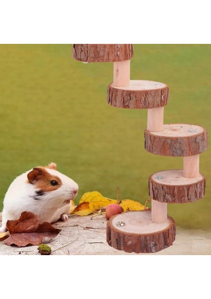 F Stili Ahşap Hamster Tırmanma Merdiveni Papağan Kuşlar Egzersiz Tünemiş Standı Platformu Diş Bakımı Molar Oyuncaklar Kafes Aksesuarları C42 (Yurt Dışından) modelleri