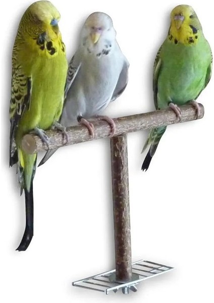 Salıncak Çerçeve Stili Kuş Salıncak, Papağan Kafesi Oyuncaklar, Griler Için Salıncak Oynamak Parakeet Cockatiel Conure, Pet Tırmanma Halatı Net, Kuş Merdiveni (Yurt Dışından)