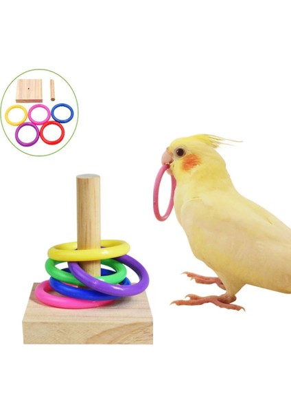 No.2 Tarzı Yeni Ahşap Kuş Papağan Platformu Plastik Halka Istihbarat Eğitimi Chew Toy Kuş Oyuncak Malzemeleri Pet Istihbarat Geliştirmek Kuş Oyuncak (Yurt Dışından)