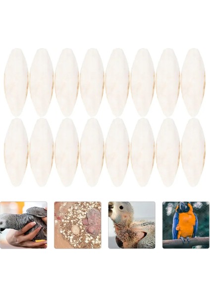 Beyaz Stil Arrot Eğitim Oyuncakları Mürekkep Balığı Kemik Evcil Hayvan Eğitimi Çiğneme Molar (Yurt Dışından)