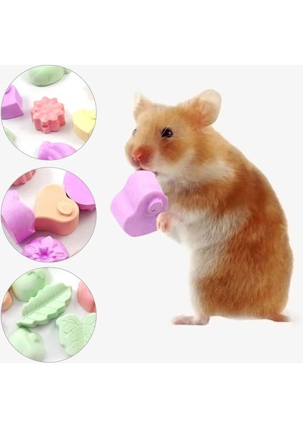 1 Adet Rastgele Stil Mineraller Molar Taş Çiğneme Oyuncaklar Meyve Şekli Ağız Taşlama Oyuncak Kobay Hamster Tavşan Diş Taşlama Taş Pet Molar Taş (Yurt Dışından) fırsatları