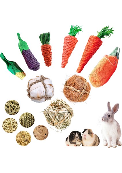 3 Adet Tarzı Et Hamster Tavşan Çiğneme Oyuncak Bite Eziyet Diş Oyuncaklar Mısır Havuç Dokuma Topları Diş Temizleme Molar Küçük Hayvan Aksesuarları (Yurt Dışından) fırsatları