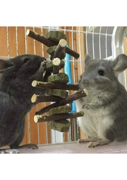 Ahşap Renk Stili Yeni Tavşan Tavşan Hamster Diş Sağlık Ahşap Çim Kek Kalp Çiğneme Molar Oyuncak Sopa Evcil Hayvanlar Için Fit Çim Çiğneme Oyuncaklar Şube Küçük Evcil Hayvan (Yurt Dışından) fırsatları