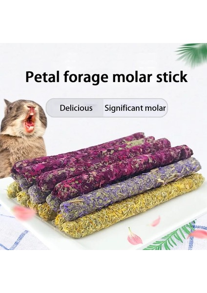 Karışık Stil Et Çubuk Molar Çiğneme Oyuncakları Diş Bakımı Çiğneme Atıştırmalıkları Tavşanlar, Hamsterllalar ve Diğer Küçük Hayvanlar Için Uygun (Yurt Dışından) fiyatları