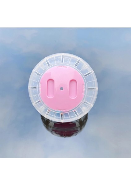 Pembe Tarzı 14,5 cm 14.5cm Pet Kemirgen Fareler Koşu Topu Hamster Gerbil Sıçan Egzersiz Taşınabilir Komik Katı Hamster Koşu Topları Oyuncaklar Oynamak Aksesuar (Yurt Dışından) fırsatları