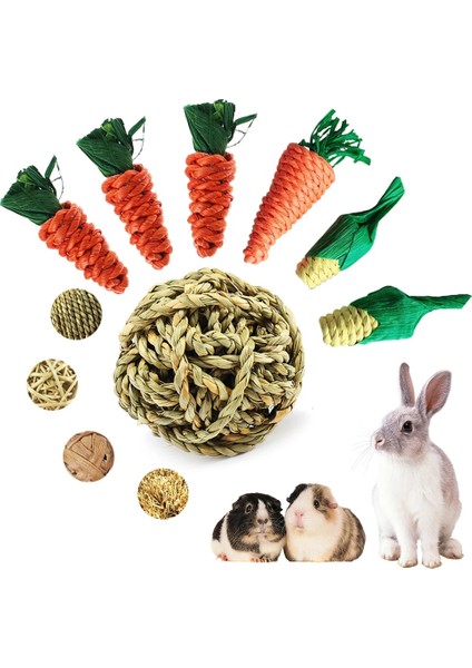 B 3 Adet Tarzı Hamster Tavşan Çiğneme Oyuncak Isırık Eziyet Diş Oyuncakları Mısır Havuç Dokuma Topları Diş Temizleme Turp Molar Oyuncaklar Pet Malzemeleri (Yurt Dışından) fiyatları