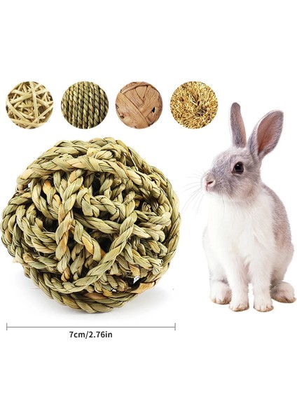 B 3 Adet Tarzı Hamster Tavşan Çiğneme Oyuncak Isırık Eziyet Diş Oyuncakları Mısır Havuç Dokuma Topları Diş Temizleme Turp Molar Oyuncaklar Pet Malzemeleri (Yurt Dışından) modelleri
