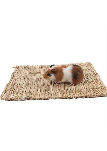20X28X1CM Stili Tavşan Çiğneme Çim Mat Küçük Pet Doğal Yumuşak Çim Yatak Hamster Gine Domuz Kafesi Yatak Ev Mat Pet Aksesuarları (Yurt Dışından) fırsatları