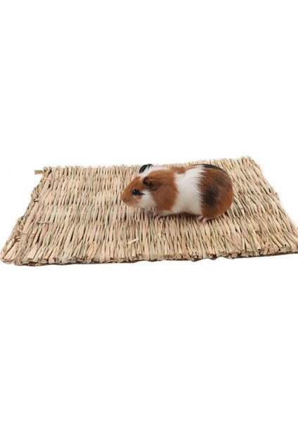 Ahşap Renk1 Stili Moda Sevimli Çim Dokuma Gine Domuzu Tavşan Hamster Yatak Mat Saman Yuva Kafesi Pet Chew Oyuncak Pad Pet Kafesleri Ürünleri Aksesuarları (Yurt Dışından) fiyatları