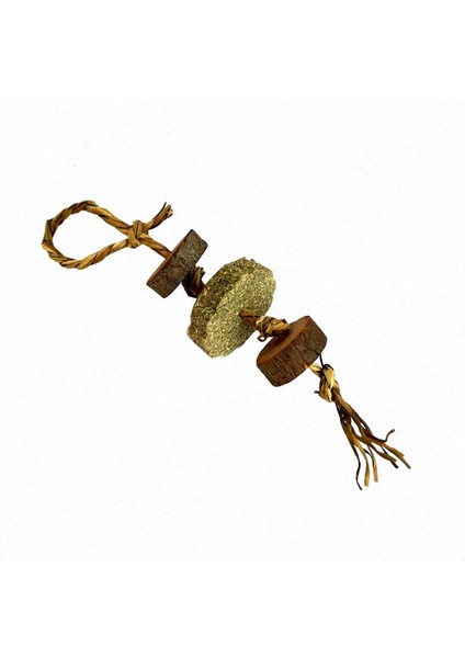 No.9 Tarzı S Beden Doğal Ahşap Tavşanlar Oyuncaklar Çam Dumbells Unicycle Çan Rulo Çiğneme Oyuncaklar Gine Domuzları Için Sıçan Küçük Azı Dişleri Pet Malzemeleri (Yurt Dışından)