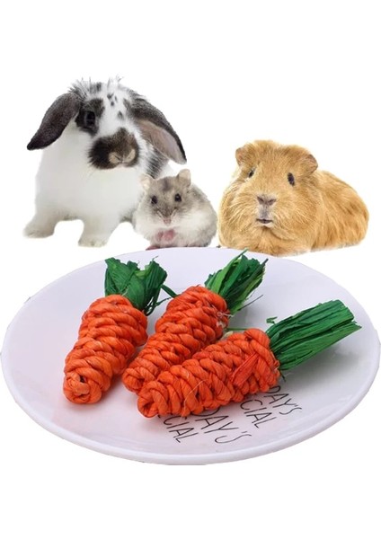 S Beden El Dokuma Küçük Pet Hamster Çiğneme Oyuncak Tavşan Isırığı Eziyet Diş Oyuncak Diş Temizleme Molar Oyuncak Gine Domuzu Kafesi Aksesuarları Lapin (Yurt Dışından) fiyatları