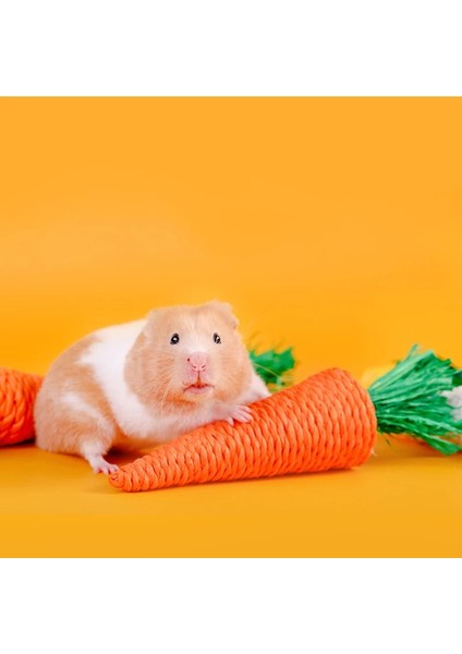 S Beden El Dokuma Küçük Pet Hamster Çiğneme Oyuncak Tavşan Isırığı Eziyet Diş Oyuncak Diş Temizleme Molar Oyuncak Gine Domuzu Kafesi Aksesuarları Lapin (Yurt Dışından) fırsatları