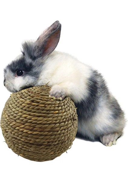 F 1pc Stili Doğal Pet Çiğneme Oyuncak Seti Havuç ve Mısır Dişleri Taşlama Çiğneme Hamster Tavşan Papağan Molar Hasır Örgü Havuç Çekirdeği (Yurt Dışından) modelleri