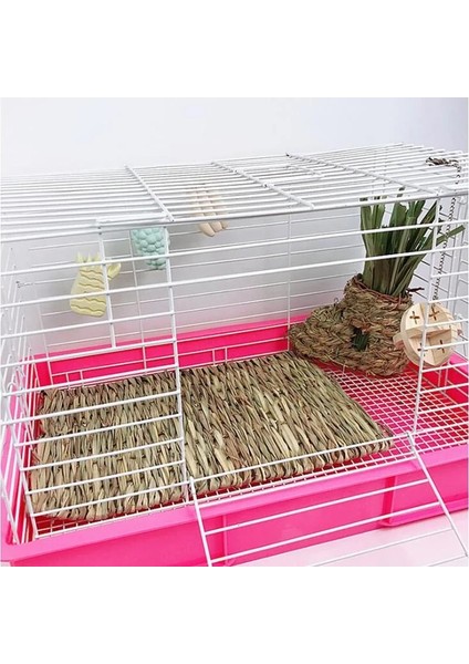 Resim Gösterisi Stili Olarak S Beden Yeni Hamster Çim Mat Pet Tavşan Çiğneme Mat Kırıcılar Oyuncak Küçük Hayvan Sıçan Gine Domuzu Ilginç Pet Oyuncaklar (Yurt Dışından) fiyatları