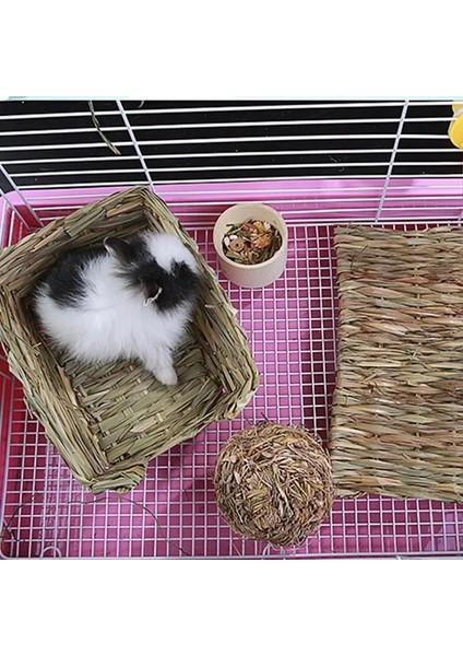 Resim Gösterisi Stili Olarak S Beden Yeni Hamster Çim Mat Pet Tavşan Çiğneme Mat Kırıcılar Oyuncak Küçük Hayvan Sıçan Gine Domuzu Ilginç Pet Oyuncaklar (Yurt Dışından) indirimleri