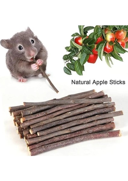 1 Adet Tarzı 8pcsbag Pet Küçük Evcil Hayvanlar Oynarken Tavşan Hamster Kobay Papağan Oyuncaklar Hamster Çiğneme Oyuncak Ahşap Çubuk Dallar Temizleme Dişleri (Yurt Dışından)
