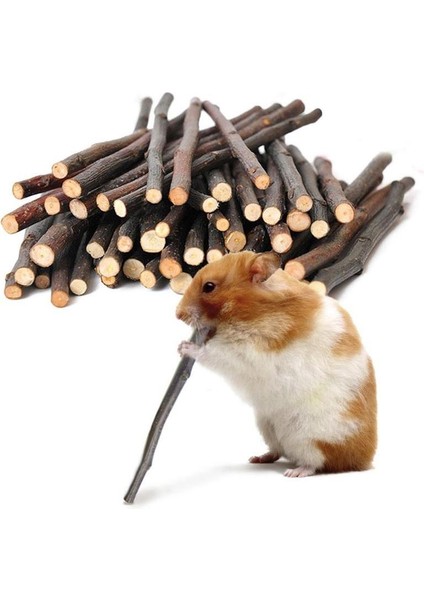1 Adet Tarzı 8pcsbag Pet Küçük Evcil Hayvanlar Oynarken Tavşan Hamster Kobay Papağan Oyuncaklar Hamster Çiğneme Oyuncak Ahşap Çubuk Dallar Temizleme Dişleri (Yurt Dışından)