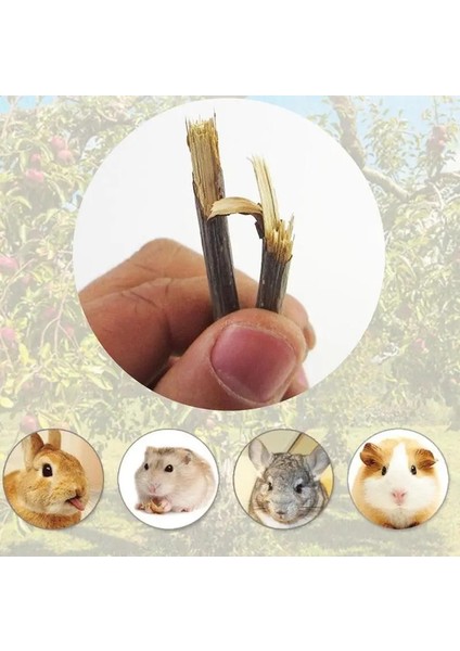 1 Adet Tarzı 8pcsbag Pet Küçük Evcil Hayvanlar Oynarken Tavşan Hamster Kobay Papağan Oyuncaklar Hamster Çiğneme Oyuncak Ahşap Çubuk Dallar Temizleme Dişleri (Yurt Dışından)