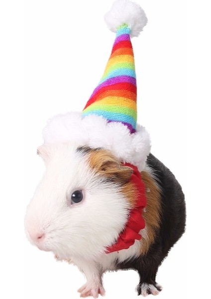 XIAOC001 Stili M Beden Pet Noel Şapka Noel Baba Kap Kafa Aksesuarları Tavşan Hamster Gine Domuz Sıçanlar Kitten Kitty ve Küçük Hayvanlar (Yurt Dışından) indirimleri