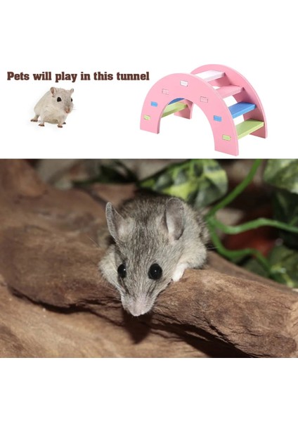 Bir Stil Ahşap Hamster Gökkuşağı Köprüsü Tahterevalli Salıncak Oyuncak Küçük Hayvan Aktivite Tırmanma Egzersiz Eğitimi Oyuncaklar Dıy Kafes Aksesuarları (Yurt Dışından) fırsatları