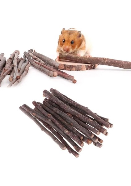 1 Paket Hamster Tavşan Diş Taşlama Doğal Ahşap Ağaç Sopa Mineraller Molar Chew Oyuncaklar Pet Malzemeleri (Yurt Dışından) fiyatları