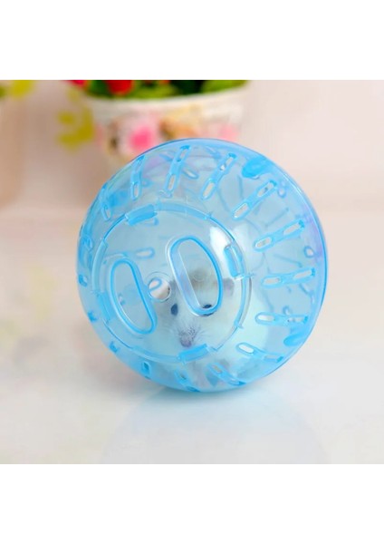 Beyaz Stil 10CM Plastik Pet Kemirgen Fareler Koşu Topu Hamster Gerbil Sıçan Egzersiz Taşınabilir Komik Katı Hamster Koşu Topları Oyun Oyuncaklar Aksesuar (Yurt Dışından) fırsatları