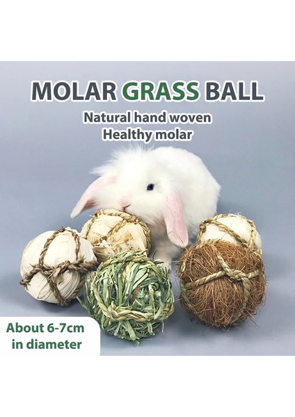 No.1 Tarzı Tavşan Molar Çim Topu Molar Oyuncak Dokuma Top Gine Domuzu Lla Aperatif Kemiren (Yurt Dışından) modelleri