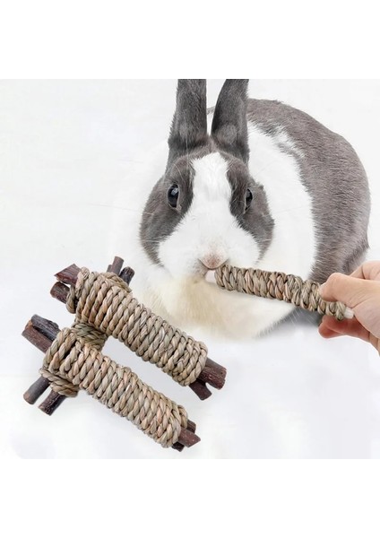 11CM 2 Adet Tarzı Küçük Hayvanlar Chew Oyuncaklar Tatlı Bambu Ahşap Diş Molar Oyuncak Sincap Hamster Tavşan Gine Piglla Aperatifler Için Davranır (Yurt Dışından) fırsatları