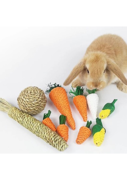 A6-1pc Tarzı Hamster Tavşan Çiğneme Oyuncak Isırık Eziyet Diş Oyuncakları Mısır Havuç Dokuma Topları Diş Temizleme Turp Molar Oyuncaklar Pet Malzemeleri 1 Adet (Yurt Dışından) modelleri