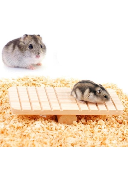 D Stili 4 Tip Evcil Hayvan Oyuncak Hamster Oyuncak Aksesuarları, Kaymaz Oluk Tasarımı, Küçük Hayvanlar Sincaplar Gerbils Fareler Cüceler Sıçanlar, Dinlen ve Oyna (Yurt Dışından) fırsatları
