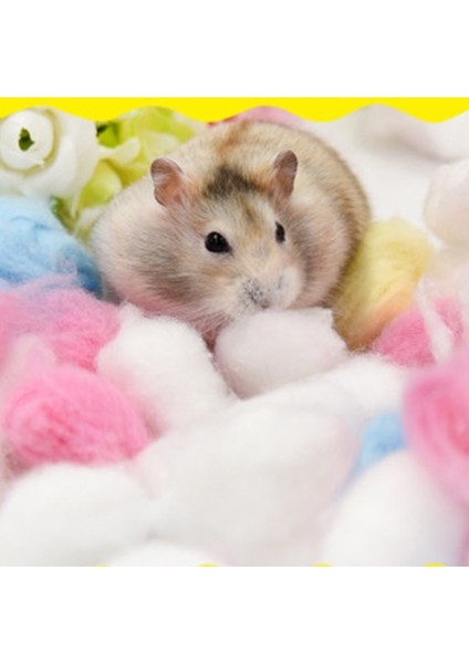 100 Adet Pamuk Topu Mr Stili Hamster Gelincik Tavşan Hayvanlar Için Yatak Küçük Pamuk Uyku Evi Asılı Fare Küçük Pet Hayvan Kemirgenler Tedarik Aksesuarı # W5 (Yurt Dışından)