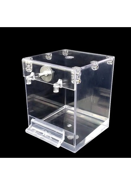 Şeffaf Stil Asılı Kuş Küpü Kuş Küvet Papağan Banyosu Duş Kutusu Kase Kafes Yıkama Alanı Temizleme Tımar Aksesuarları Kuş Kanarya Için (Yurt Dışından) fırsatları