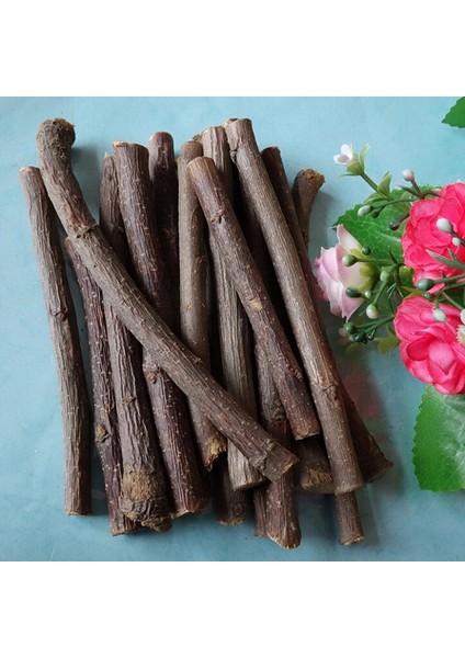 1 Torba 50G Doğal Elma Ağacı Dalı Pet Papağanlar Tavşanlar Için Oyuncak Gine Domuzları Ahşap Hamster Kuş Papağan Hamster Chew Oyuncaklar (Yurt Dışından)