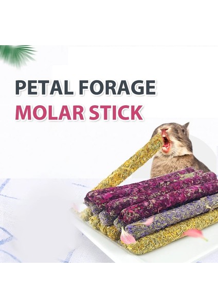 A4 Stili Et Çubuk Molar Çiğneme Oyuncakları Diş Bakımı Çiğneme Atıştırmalıkları Tavşanlar, Hamsterllalar ve Diğer Küçük Hayvanlar Için Uygun (Yurt Dışından) fiyatları