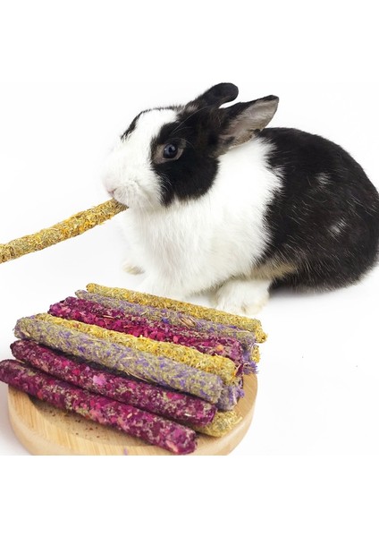 A4 Stili Et Çubuk Molar Çiğneme Oyuncakları Diş Bakımı Çiğneme Atıştırmalıkları Tavşanlar, Hamsterllalar ve Diğer Küçük Hayvanlar Için Uygun (Yurt Dışından) indirimleri