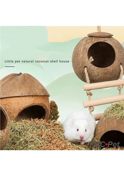 Hindistan Cevizi Evi H Stili Hamster Doğal Hindistan Cevizi Evi Küçük Pet Döken Ev Yatakları Guniea Domuz Çiğneme Oyuncak Hamster Aksesuarları Kuş Kafesleri (Yurt Dışından) fiyatları