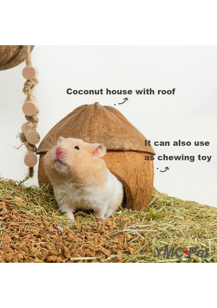 Hindistan Cevizi Evi H Stili Hamster Doğal Hindistan Cevizi Evi Küçük Pet Döken Ev Yatakları Guniea Domuz Çiğneme Oyuncak Hamster Aksesuarları Kuş Kafesleri (Yurt Dışından) indirimleri